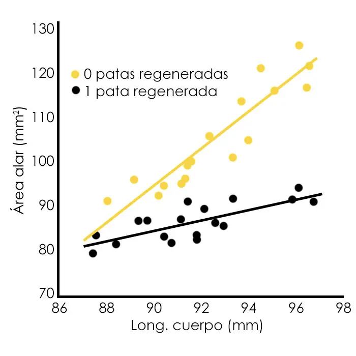 Representación del gráfico de Maginnis (2006)