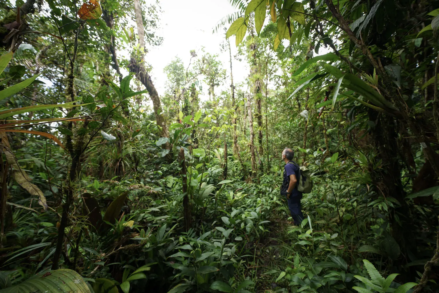 Imagen Expedición Panamá 2026